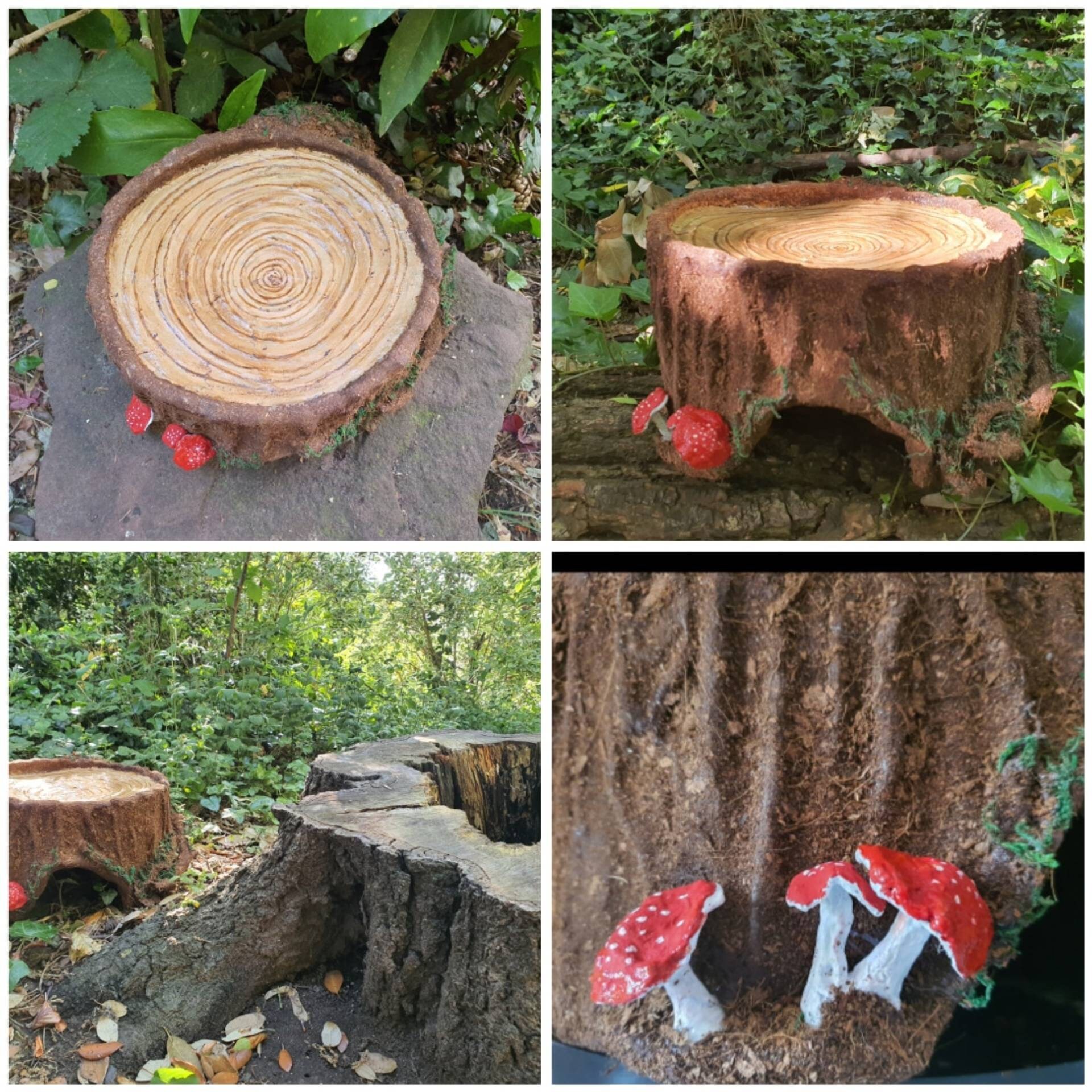 Bespoke Natural Enchanted Log Reptile Hide Snake Bearded Etsy