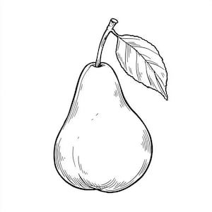 Può includere: Illustrazione in bianco e nero di una pera con gambo e foglia. La pera ha una forma classica a goccia, con ombreggiatura dettagliata. La foglia è dettagliata con venature visibili.