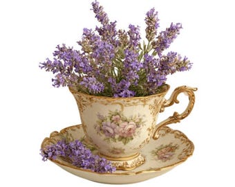12 Lavender Watercolor Teacup Clip Art, Floral Lilac Tea Cup, Herbarium Pages Herbal Junk Journal Paper Printable Scrapbook High Quality PNG