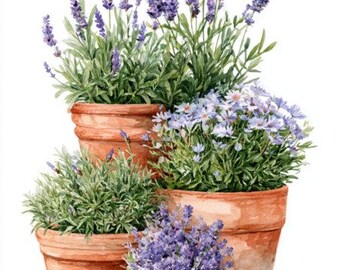 20 Lavender Watercolor Clipart PNG Potted Flowers Pot, Herbal Junk Journal Paper, Digital Herbarium, Herbs Clip Art, Crafts Floral Scrapbook
