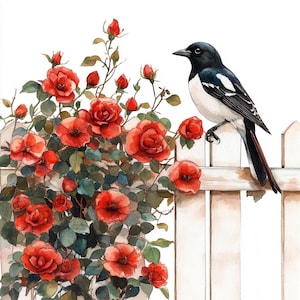 8 Elster Einziger Vogel auf Klettern Rose Zaun Blumengarten Clipart Aquarell druckbare, hochwertige PNGs Digitales Papier Handwerk Junk Journals