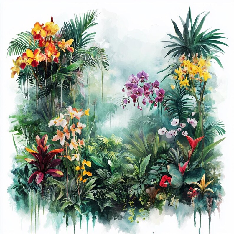 8 Tropical Clipart Rainforest Clip Art Jungle Clipart Watercolor ...