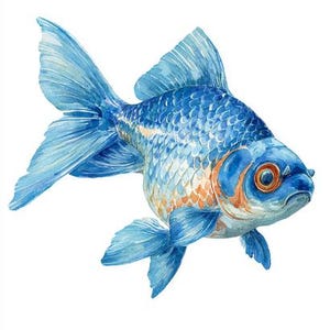 8 Blue Fish Clipart Images Outline Line Art Printable Watercolor Fish Clipart Digital Download High Quality PNGs Paper Crafts Junk Journals