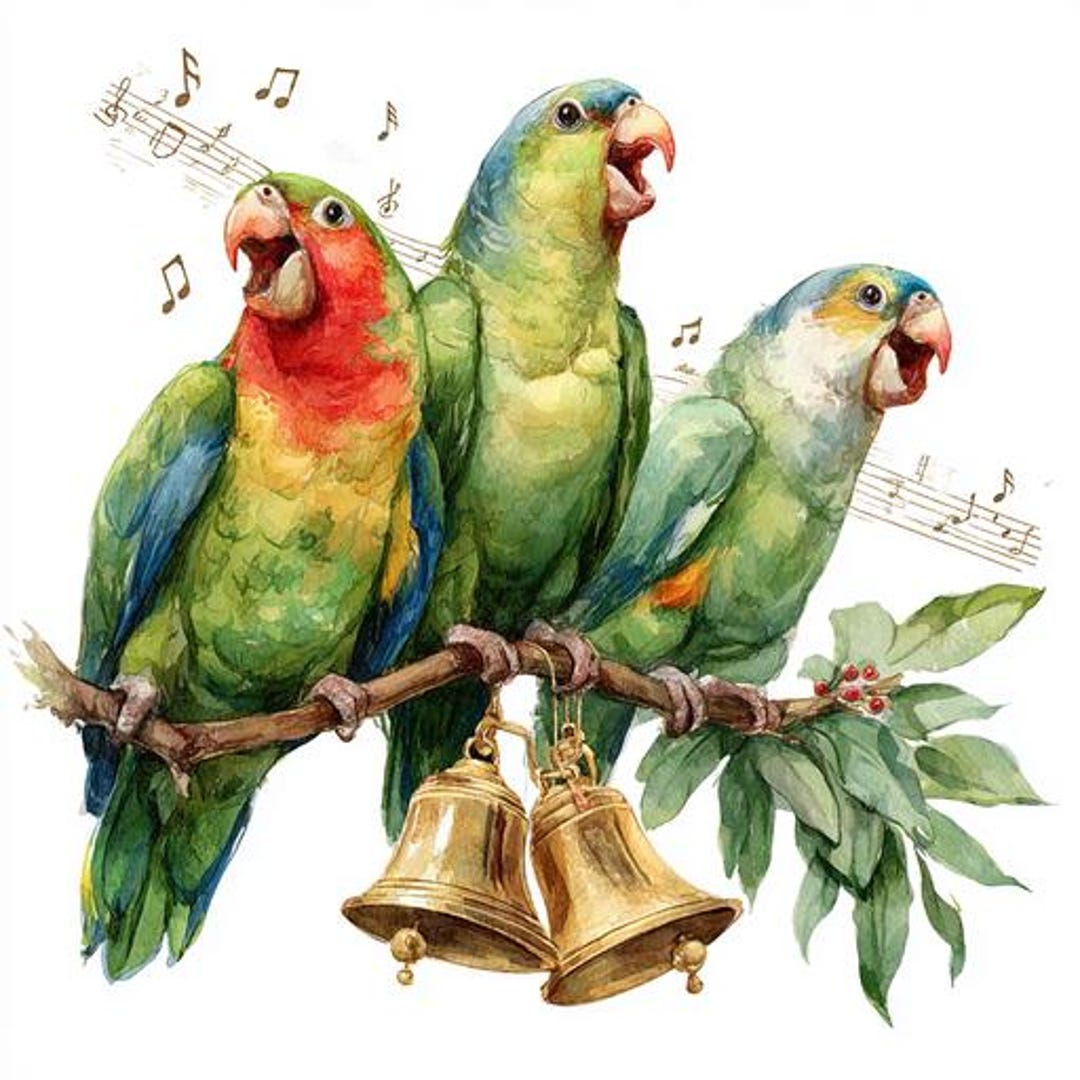 クリスマスのオウムのクリップアート8点、クリスマスキャロルを歌う鳥