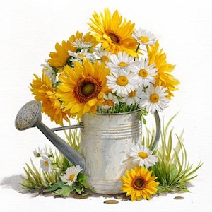 May include: A watercolor painting of a galvanized metal watering can overflowing with sunflowers and daisies. The sunflowers are yellow with brown centers, and the daisies are white with yellow centers. Green grass and more flowers surround the watering can.