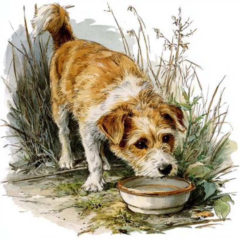 8 Country Mutt Dog Eating Clipart, Realistic Farm Animals Watercolor ...