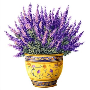 Puede incluir: Ilustración en acuarela de una planta de lavanda en una maceta amarilla. La lavanda tiene flores moradas vibrantes y hojas verdes. La maceta amarilla está decorada con patrones geométricos azules y naranjas y diseños florales.