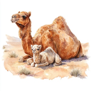 8 Camel Image Printable Clipart Camel with Baby Watercolor Printable Safari Travel Boho Paper Crafts Junk Journal Digital Download Art Print