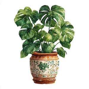 以下が含まれることがあります： 鉢植えのモンステラ植物の水彩イラスト。植物は、大きく緑色の葉が特徴です。テラコッタの鉢は、クリーム色と緑色の花柄と茶色の縁で装飾されています。人気の観葉植物です。
