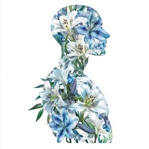 8 clipart de corpo floral abstrato, colagem de buquê de flores, clipart de silhueta, arte, PNGs de alta qualidade, artesanato em papel digital, diários de lixo