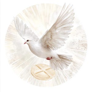 10 Saint-Esprit colombe oiseaux Clipart téléchargement numérique aquarelle Confirmation Art Pentecôte carte imprimable fabrication artisanat en papier journaux indésirables