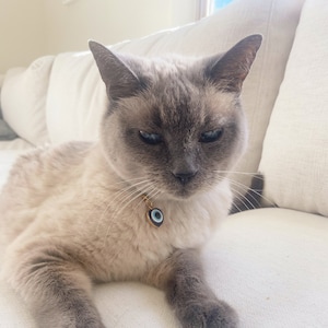 May include: A gray and white cat with blue eyes is lying on a white couch. The cat is wearing a gold chain with a blue and white evil eye charm.
