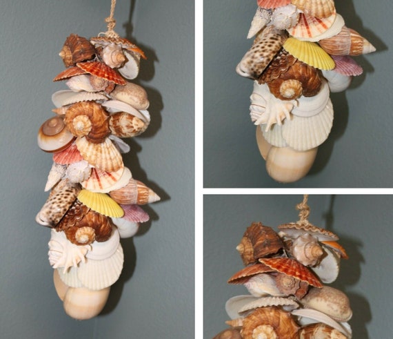 Seashell Decor