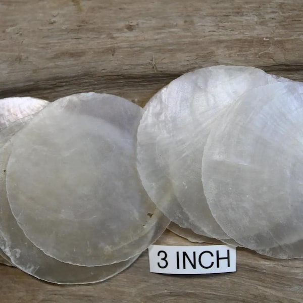 Capiz Shell Color Capiz Shells - Etsy