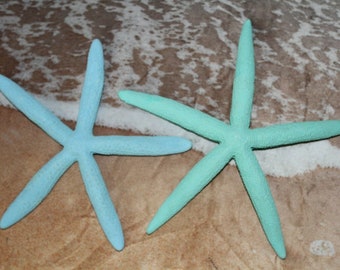 Coastal Colors Beach Wedding Decor Large Natural Starfish, 5" to 8 inch range, Aqua & Sea Foam Pairs, LARGE Free Ship