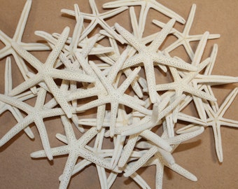 Finger Starfish Craft Supplies / No Smell Craft Ready, 2 inch to 4 inch sizes, SS-146