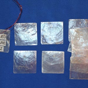 May include: A collection of square capiz shell pieces, some drilled, with a pearlescent sheen. A tag reads "DRILLED SQUARE CAPIZ". The shells are arranged on a blue surface, showcasing their natural iridescence. Ideal for craft projects.
