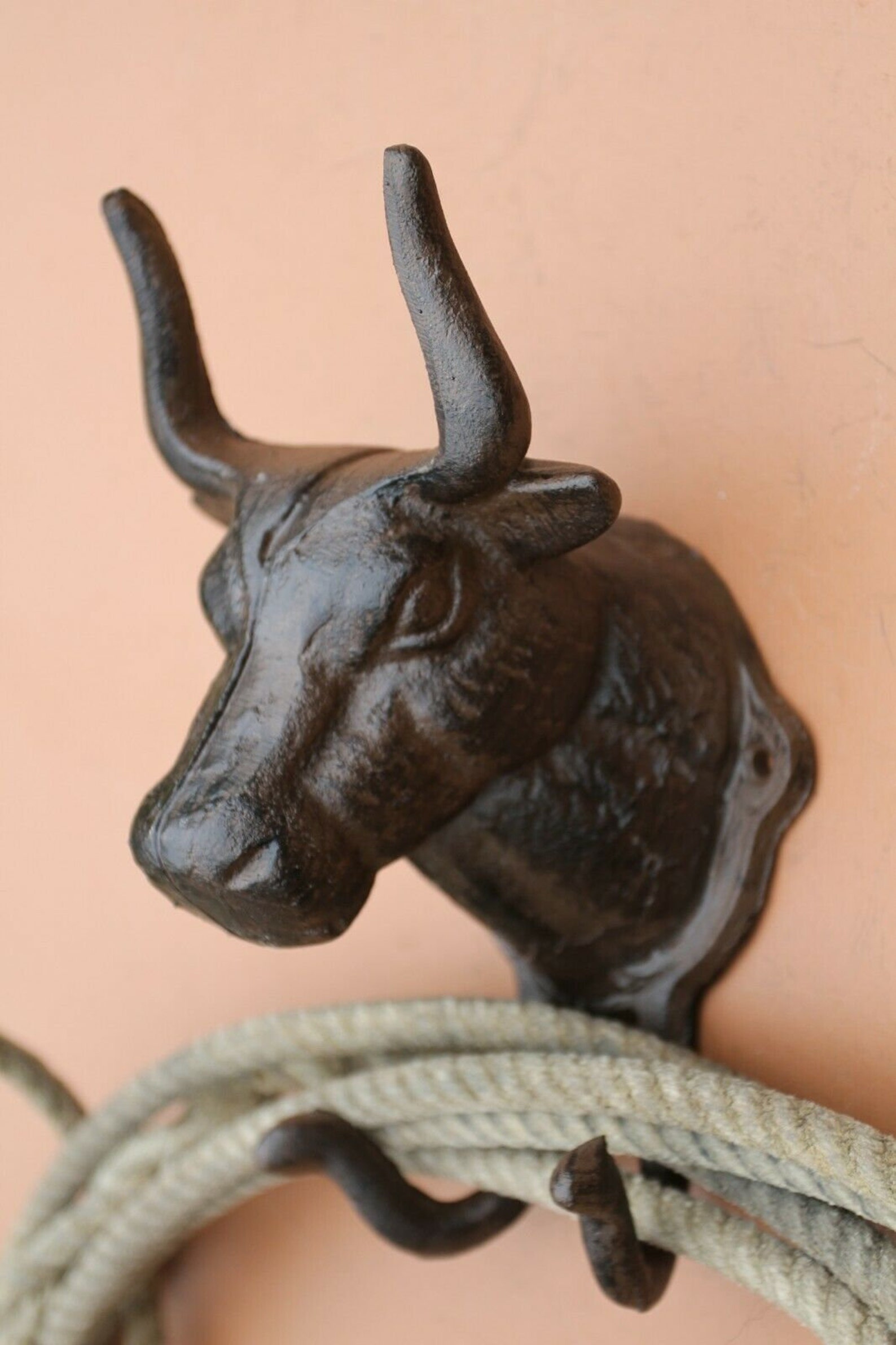 Large Bull Horns Wall Hooks / Longhorn Heavy Cast Iron 10 Etsy