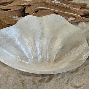 May include: A large, pearlescent white seashell-shaped dish. The dish has a scalloped edge and a textured surface. The background includes driftwood and sand, suggesting a coastal theme. This decorative piece could be used for serving or display.