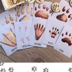 Montessori-type nomenclature cards with woodland animal footprints, animal flash cards, digital educational material, Montessori parental education