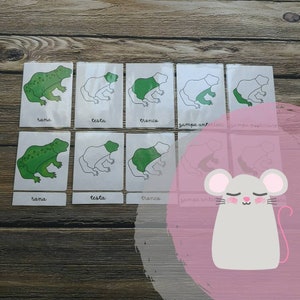 Carte Nomenclatura Montessori, Carte regno vegetale, Flash card regno animale, Materiale educativo digitale, educazione parentale Montessori