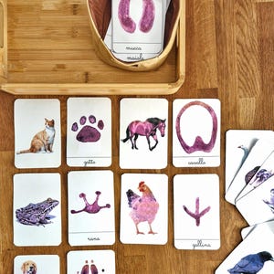 Carte Nomenclatura tipo Montessori orme animali fattoria, Flash card cane, gatto, Materiale educativo digitale, educazione parentale
