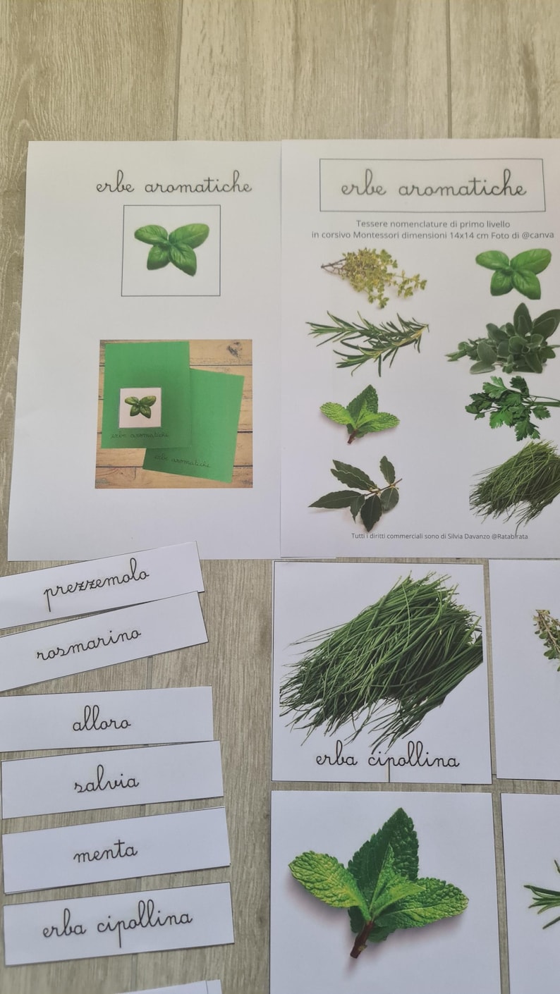 May include: Educational materials featuring various herbs, including rosemary, mint, and chives, with Italian text. The image includes cards with herb illustrations and labels, designed for learning and identification.