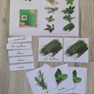 May include: Educational flashcards featuring various herbs, including rosemary and mint, with Italian text. The cards are arranged on a wooden surface, with additional labels and illustrations. The text includes the words "erbe aromatiche".