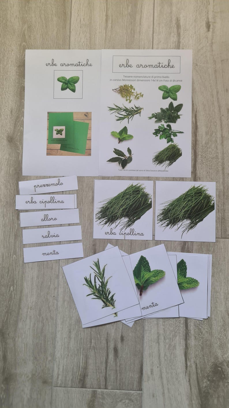 May include: Educational flashcards featuring various herbs, including rosemary and mint, with Italian text. The cards are arranged on a wooden surface, with additional labels and illustrations. The text includes the words "erbe aromatiche".