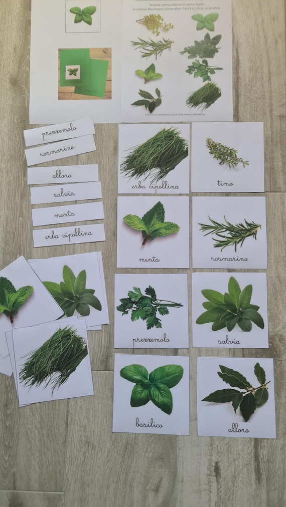Carte Erbe aromatiche, nomenclature 14 cm tipo montessoriano, materiale apprendimento, Nomenclature 1 livello Montessori, Flashcards