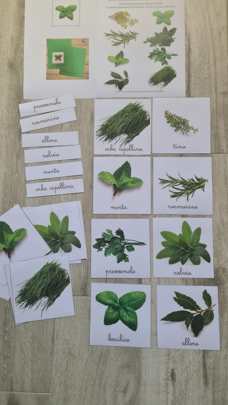 May include: Educational cards featuring various herbs, including basil, rosemary, and mint. Each card displays a vibrant image of the herb alongside its name. The set includes cards with the text "prezzemolo", "rosmarino", "alloro", "salvia", "menta", and "erba cipollina".