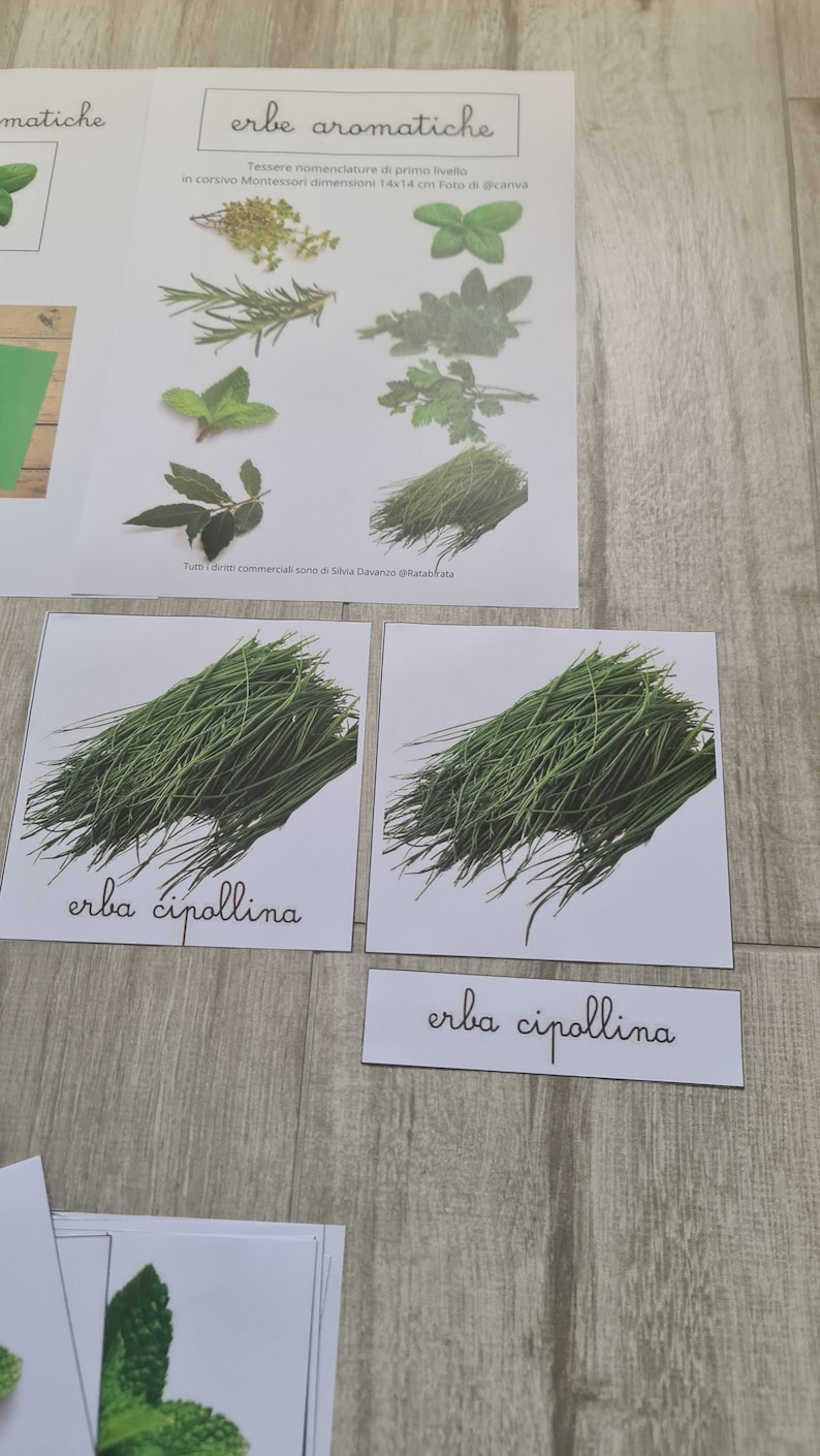 May include: A collection of educational cards featuring various herbs, including rosemary, mint, and chives. The cards are labeled in Italian, with the text "erbe aromatiche" at the top. The image is on a light wood-grain surface.