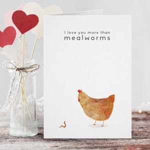 Carte de Saint-Valentin imprimable, Saint-Valentin drôle de poulet, téléchargement Galentine, âme soeur imprimable, anniversaire de poulet, carte d'âme soeur de poulet,