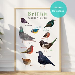 Garden Birds Print, Mother’s Day Print, A4 A3 Printable Bird Lover Gift, Bird Poster, Illustrated Bird Print, Bird Watching