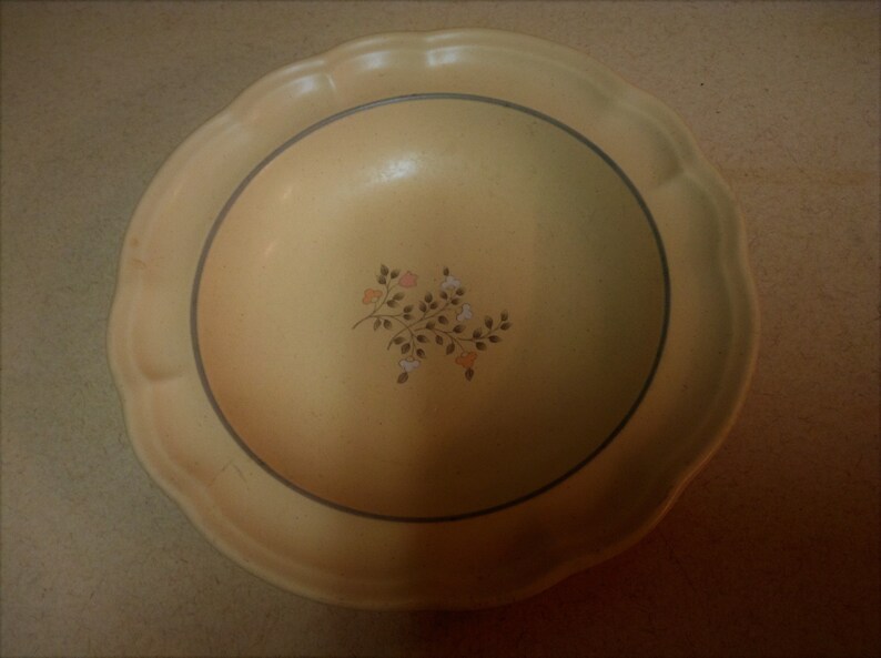 Pfaltzgraff Remembrance heirloom 9 Stoneware Dinner Plates with Floral Motifs Designs Vintage Collectible