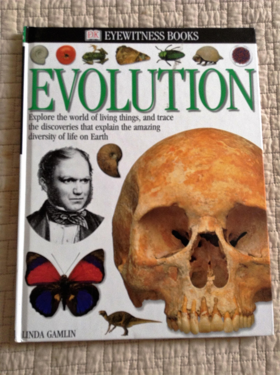 DK Eyewitness Books w/ Clip Art CD Set Evolution Fossil