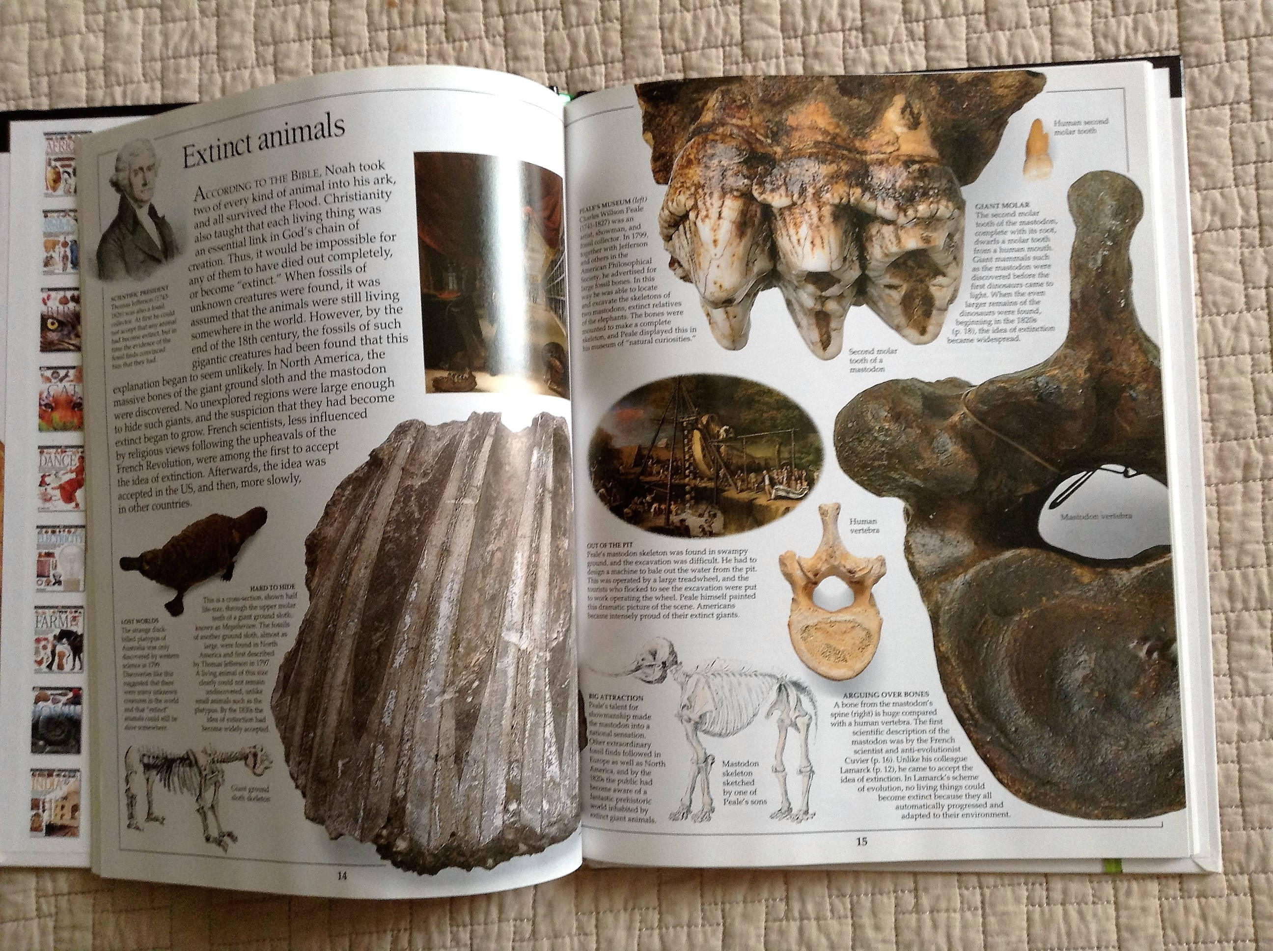EVOLUTION Dorling Kindersley Eyewitness Book Written by