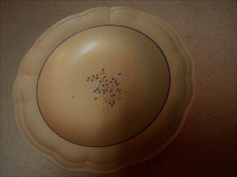 Pfaltzgraff Remembrance heirloom 9 Stoneware Dinner Plates with Floral Motifs Designs Vintage Collectible