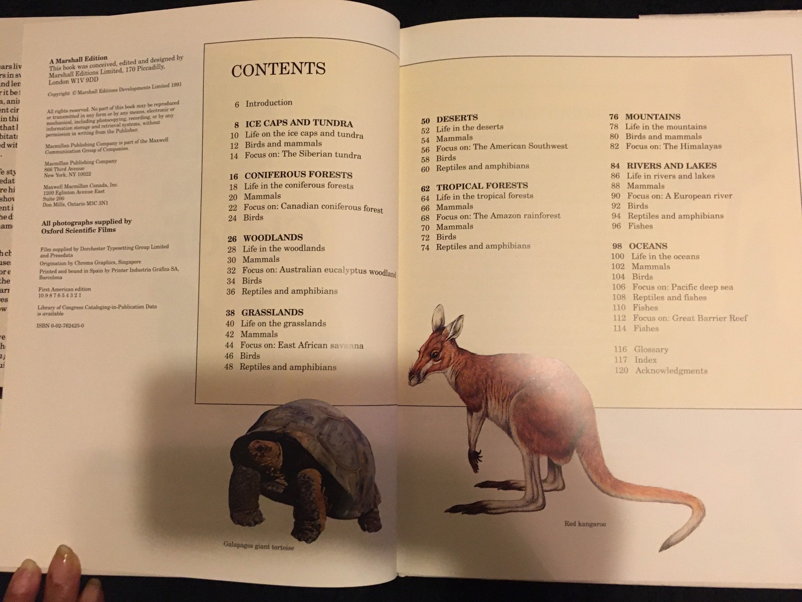 Animal Encyclopedia for Children by Roger Few Macmillan Etsy