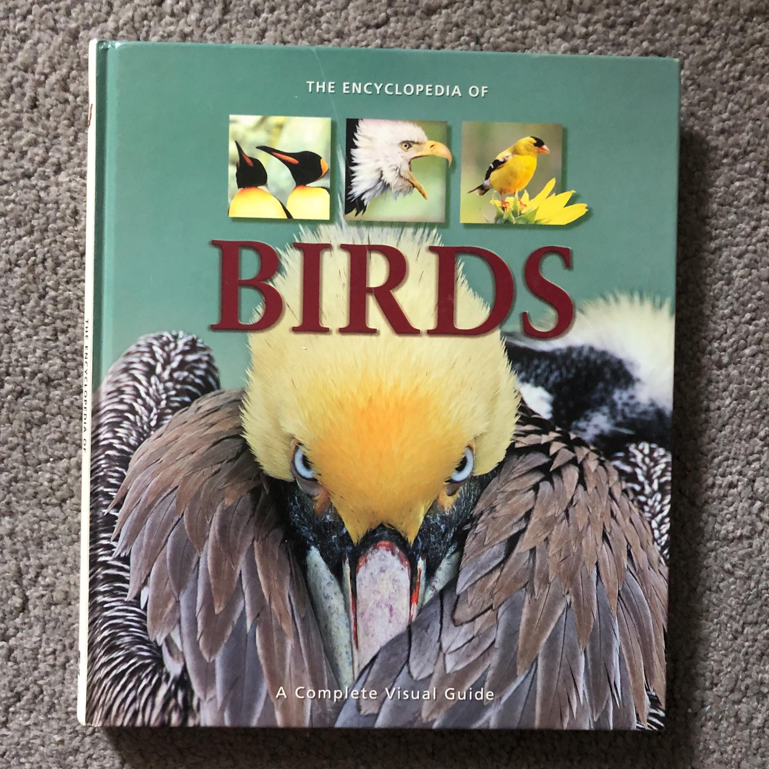 Birds the Encyclopedia of Birds A Complete Visual Guide - Etsy