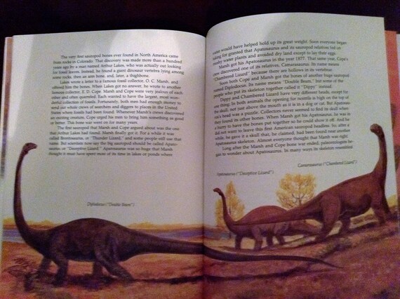 Dinosaurs and Other Prehistoric Creatures Fossils, Giant Insects
