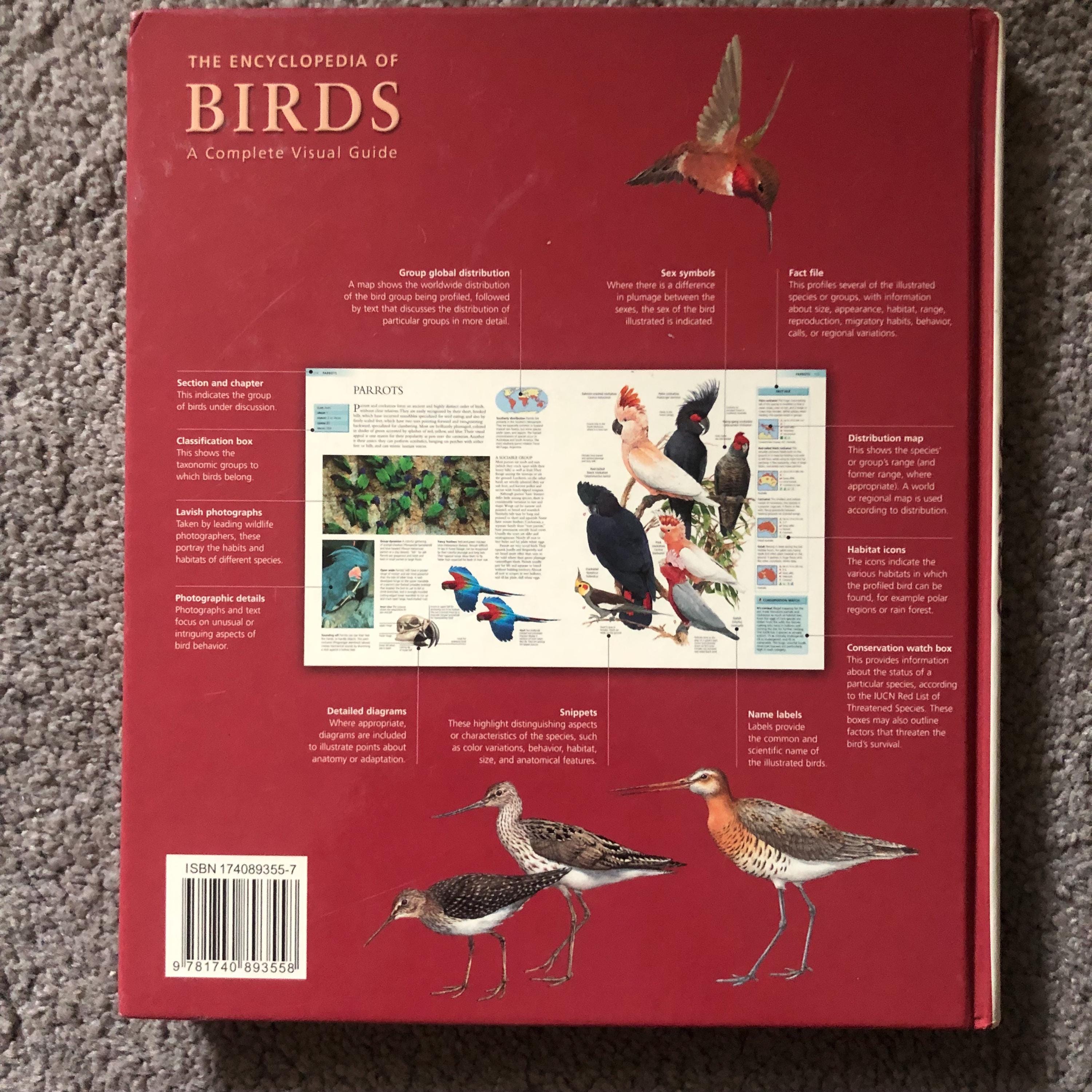 Birds the Encyclopedia of Birds A Complete Visual Guide - Etsy