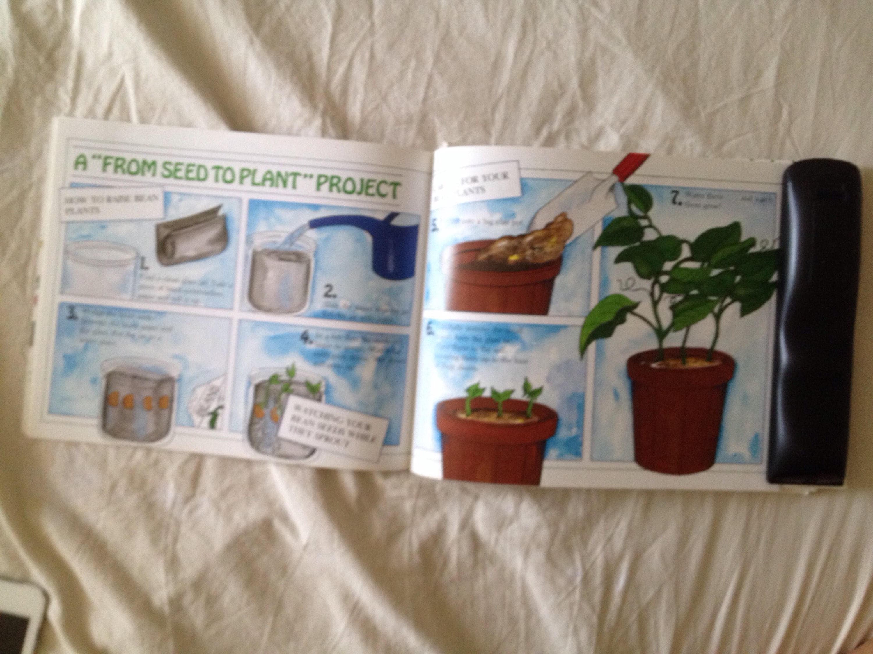 From Seed to Plant by Gail Gibbons - Etsy