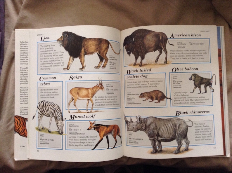 Animal Encyclopedia for Children by Roger Few Macmillan Etsy