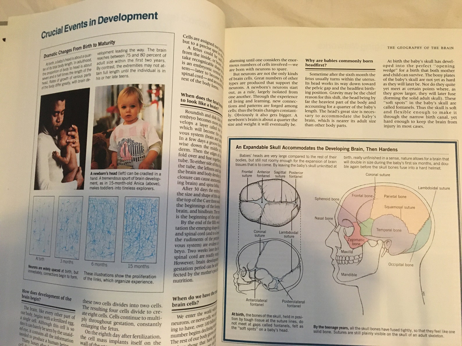 Abcs of the Human Mind A Family Answer Book Edited by Readers Digest - Etsy