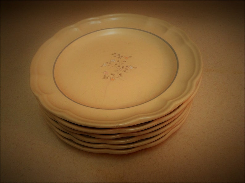 Pfaltzgraff Remembrance heirloom 9 Stoneware Dinner Plates with Floral Motifs Designs Vintage Collectible