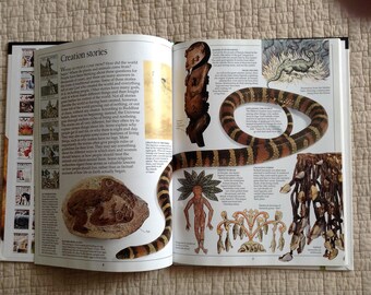 洋書 Evolution (Eyewitness Science) DK Eyewitness Books w/ Clip Art CD Set Evolution Fossil