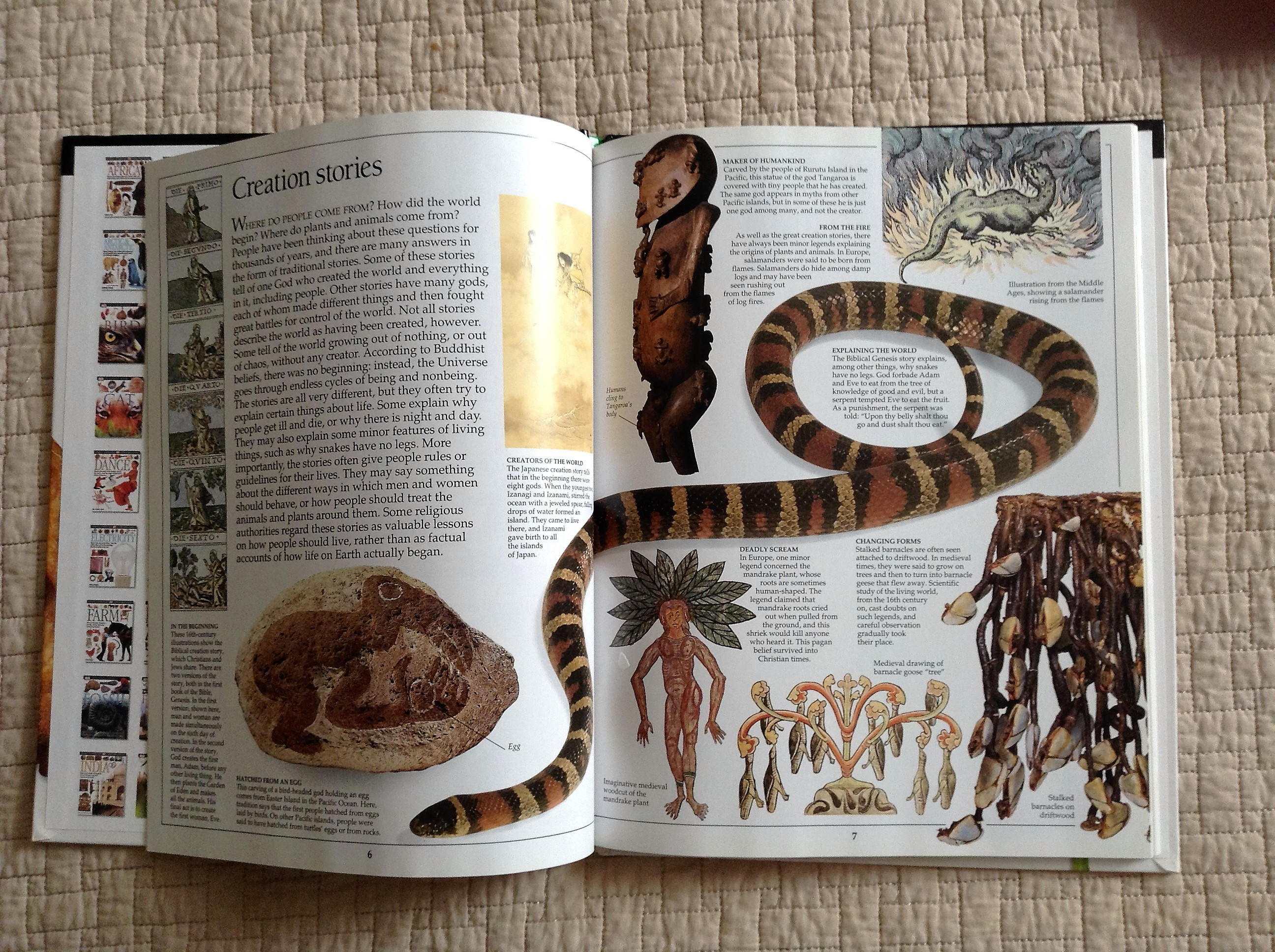 EVOLUTION Dorling Kindersley Eyewitness Book Written by