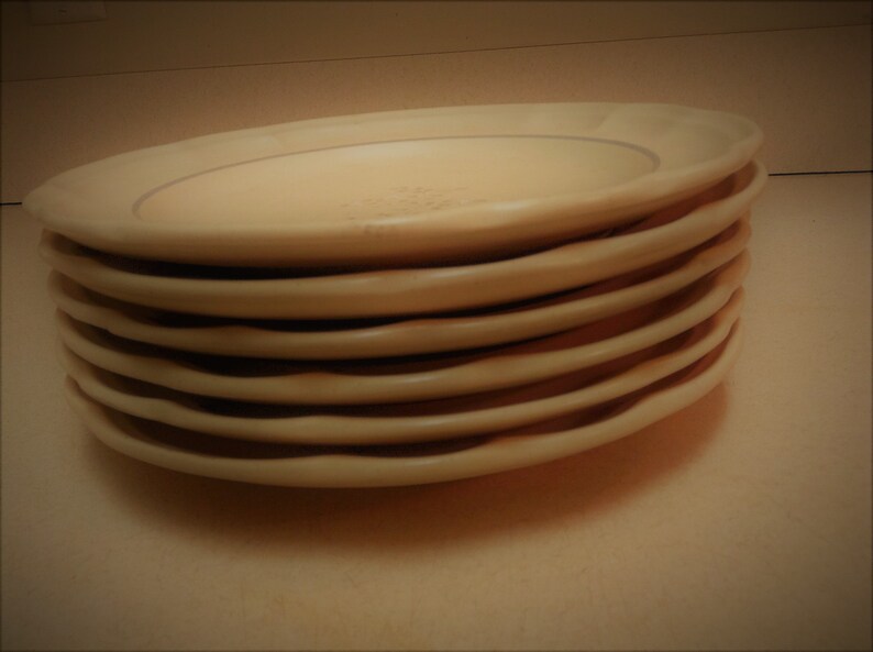 Pfaltzgraff Remembrance heirloom 9 Stoneware Dinner Plates with Floral Motifs Designs Vintage Collectible