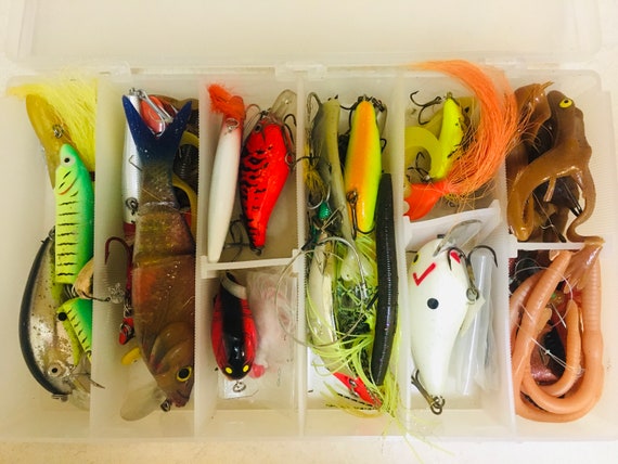 Fishing Baits Tackles Lures Hooks Eels Frogs Rubber Gold Fish Assortment 
